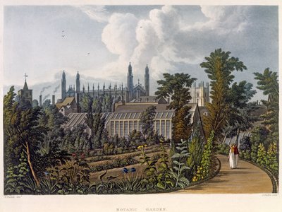 De Botanische Tuinen, Cambridge, uit 