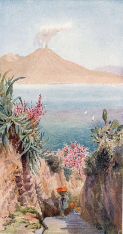 Posillipo. De baai van Napels door William Wiehe Collins