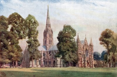 Salisbury, de kathedraal door William Wiehe Collins