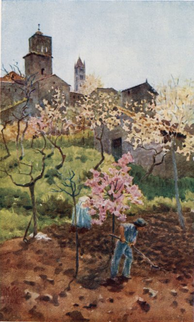 Siena. Onder de Muren door William Wiehe Collins