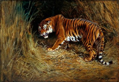 Een sluipende tijger door William Woodhouse