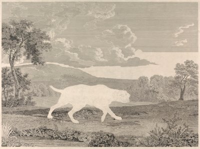 [Schieten] De Spaanse wijzer door William Woollett