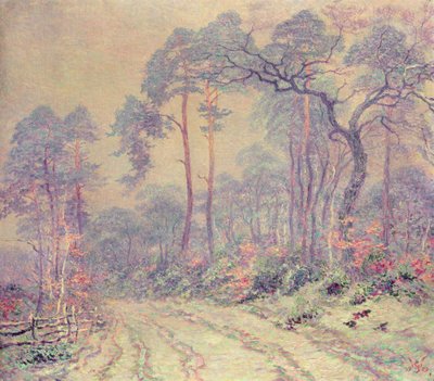 Het Pad door het Bos door Willy Schlobach