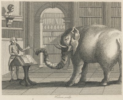 De olifant en de boekverkoper door Wilson