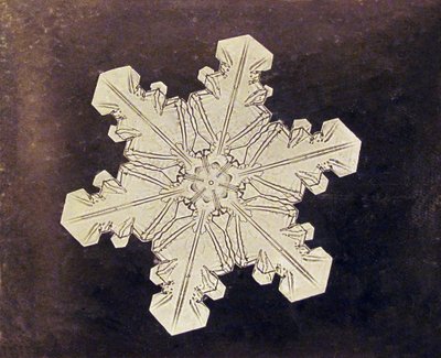 Studie van een sneeuwvlok door Wilson A. Bentley