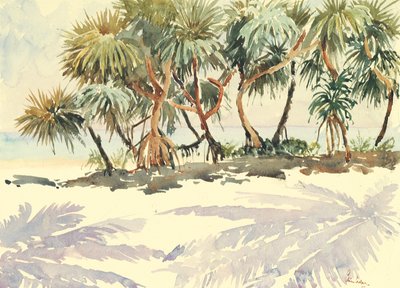735 Stro bomen, Bentota door Wilson Clive