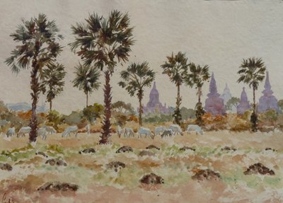 935 Blauwe koeien en palmetto