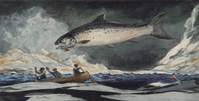 Een Goede Pool, Saguenay Rivier, 1895 door Winslow Homer