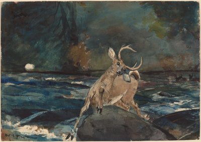 Een goede schot, Adirondacks door Winslow Homer