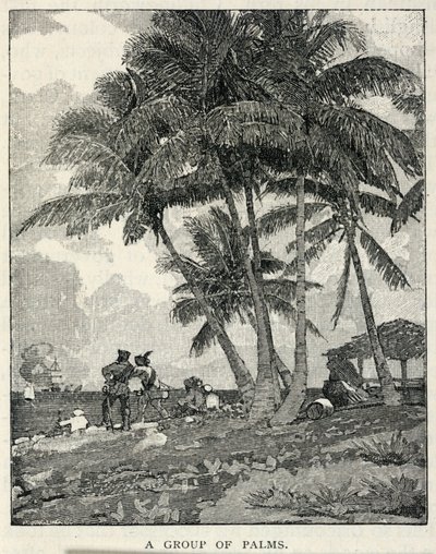 Een groep palmen, uit The Century Magazine, februari 1887 door Winslow Homer