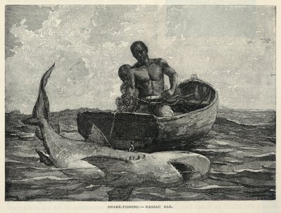 A Peddler, A Nassau Gateway, Shark-Fishing--Nassau Bar, uit The Century Magazine, februari 1887 door Winslow Homer