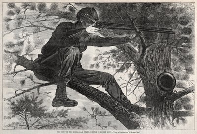  door Winslow Homer