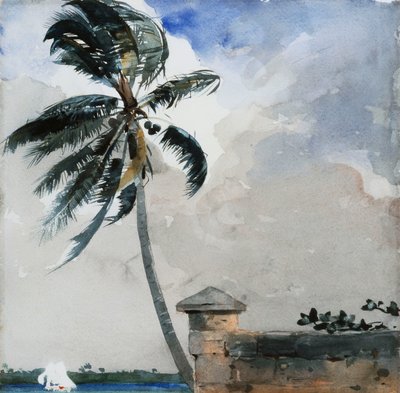 Een tropische bries, Nassau, 1889-90 door Winslow Homer