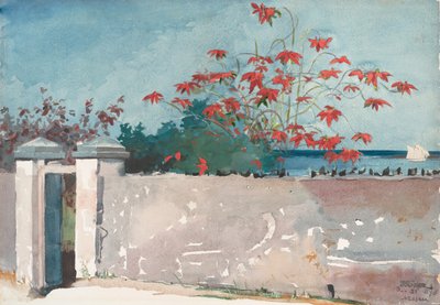 Een muur, Nassau, 1898 door Winslow Homer