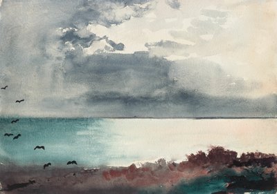 Brekende storm, kust van Maine door Winslow Homer