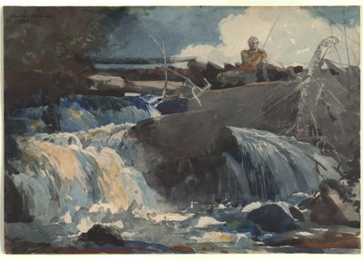 Vissen in de Watervallen door Winslow Homer