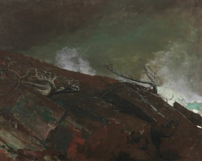 Kust van Maine door Winslow Homer