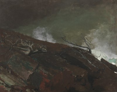 Kust van Maine, 1893 door Winslow Homer