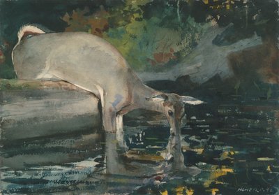 Drinkende Herten door Winslow Homer