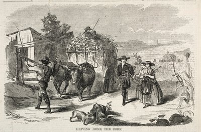 De maïs thuisbrengen door Winslow Homer
