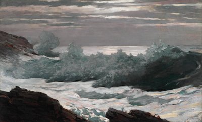 Vroege ochtend na een storm op zee door Winslow Homer