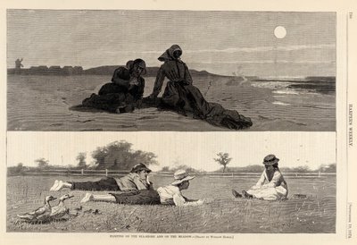 Flirten aan de kust en op de weide, uit Harper
