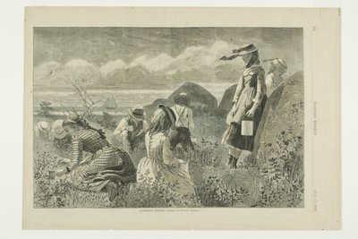Bessen verzamelen door Winslow Homer