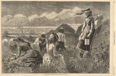 Bessen Plukken, uit Harper door Winslow Homer