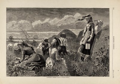 Bessen verzamelen, uit Harper