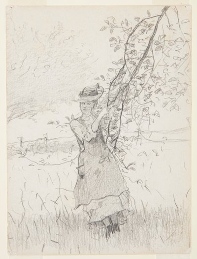 Meisje met een Tak van een Appelboom door Winslow Homer