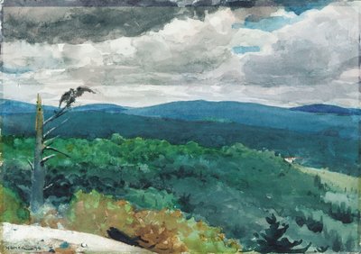 Heuvelachtig Landschap, 1894 door Winslow Homer