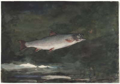  door Winslow Homer