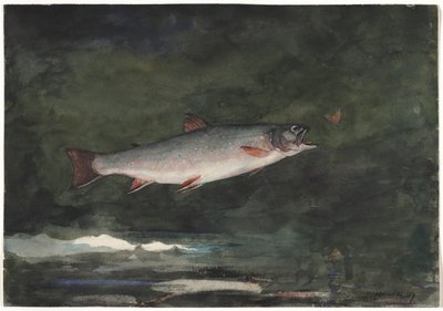 Springende Forel, 1889 door Winslow Homer