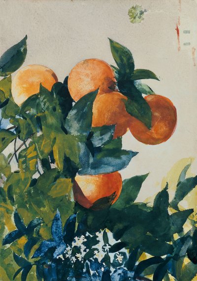 Sinaasappels aan een Tak, 1885 door Winslow Homer