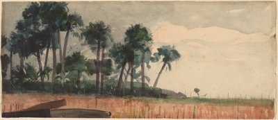Palmbomen, Rood door Winslow Homer