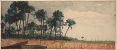  door Winslow Homer