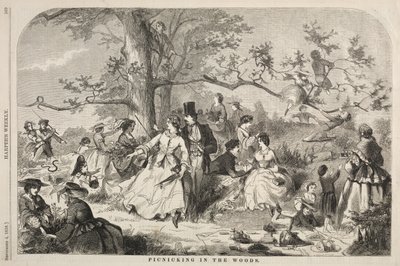 door Winslow Homer