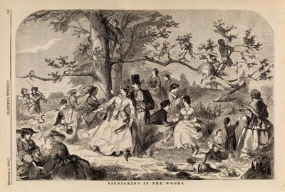 Picknicken in het bos, uit Harper