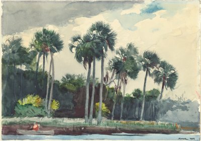 Rood Shirt, Homosassa, Florida door Winslow Homer