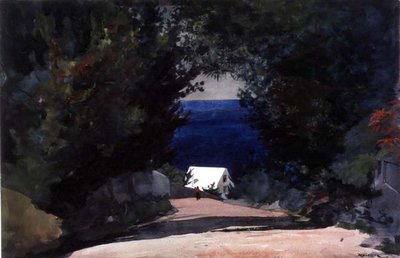 Weg in Bermuda, c.1899-1901 door Winslow Homer