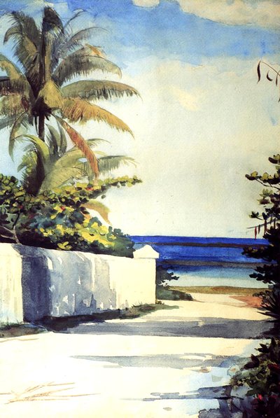 Weg in Nassau, 1898-99 door Winslow Homer