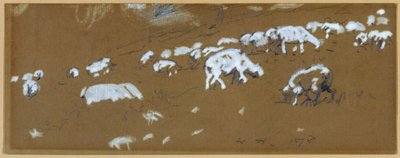 Schapen door Winslow Homer