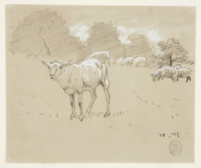 Schapen grazend in een veld door Winslow Homer