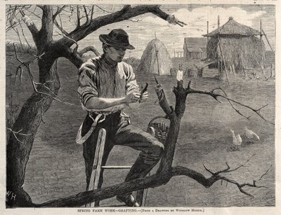  door Winslow Homer