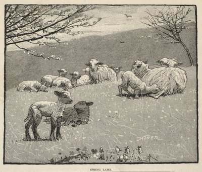  door Winslow Homer