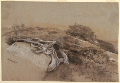 Studie van Boomwortels, Prout