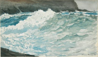 Branding, Prout door Winslow Homer