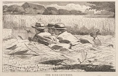 De vogelvangers door Winslow Homer
