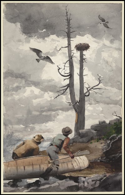 Het nest van de adelaar, 1902 door Winslow Homer