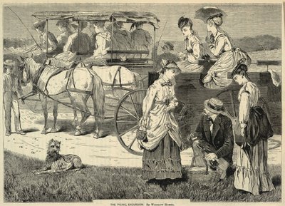 The Picnic Excursion, uit Appletons